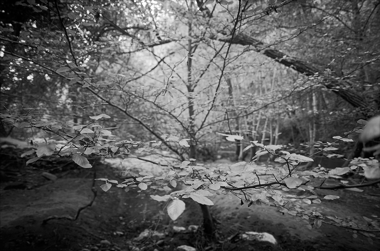 Untitled-(2)-(186).jpg