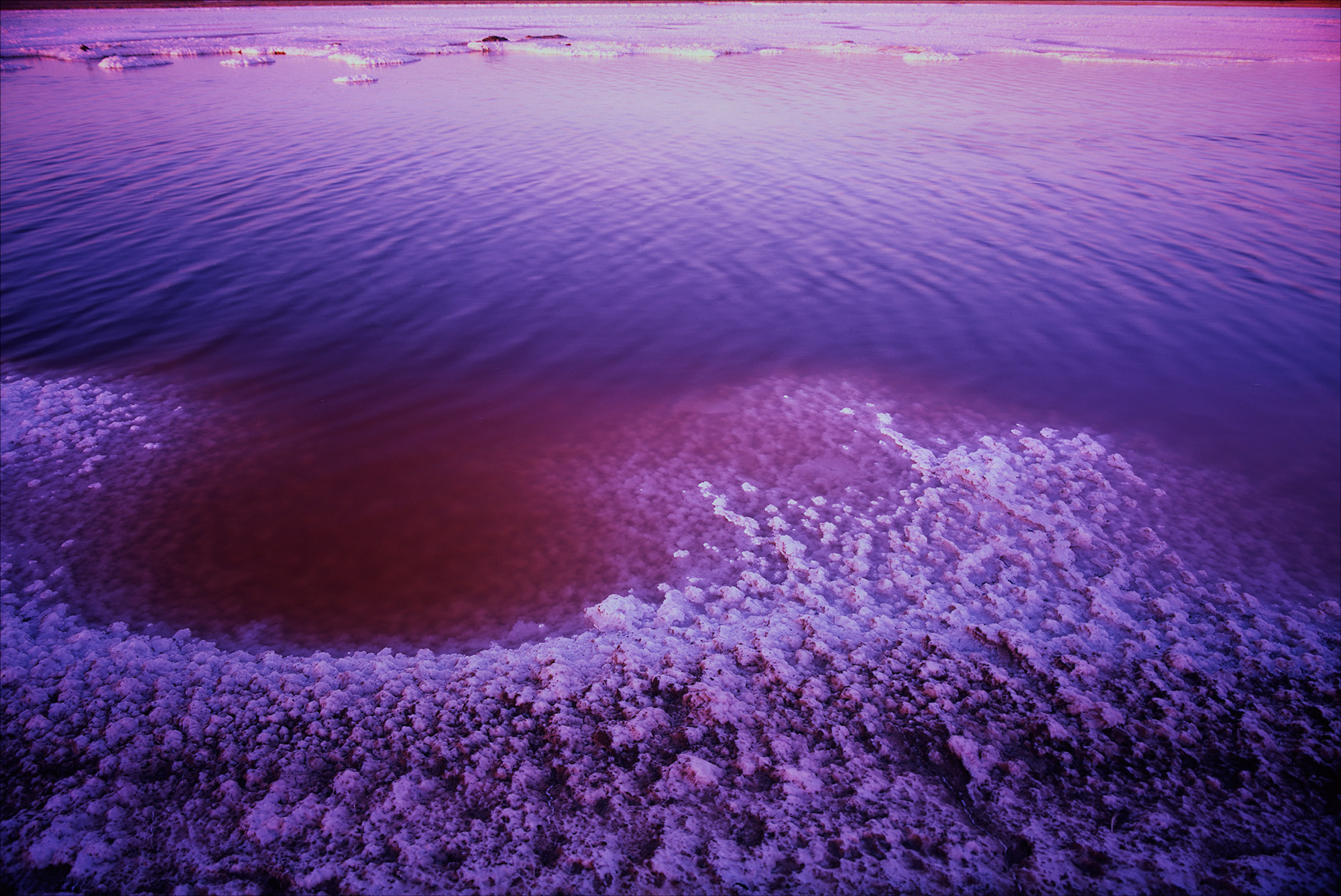 Untitled-(2)-(65).jpg