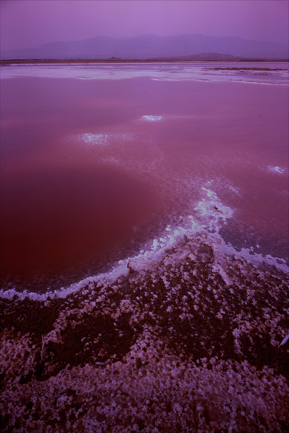 Untitled-(2)-(85)s.jpg