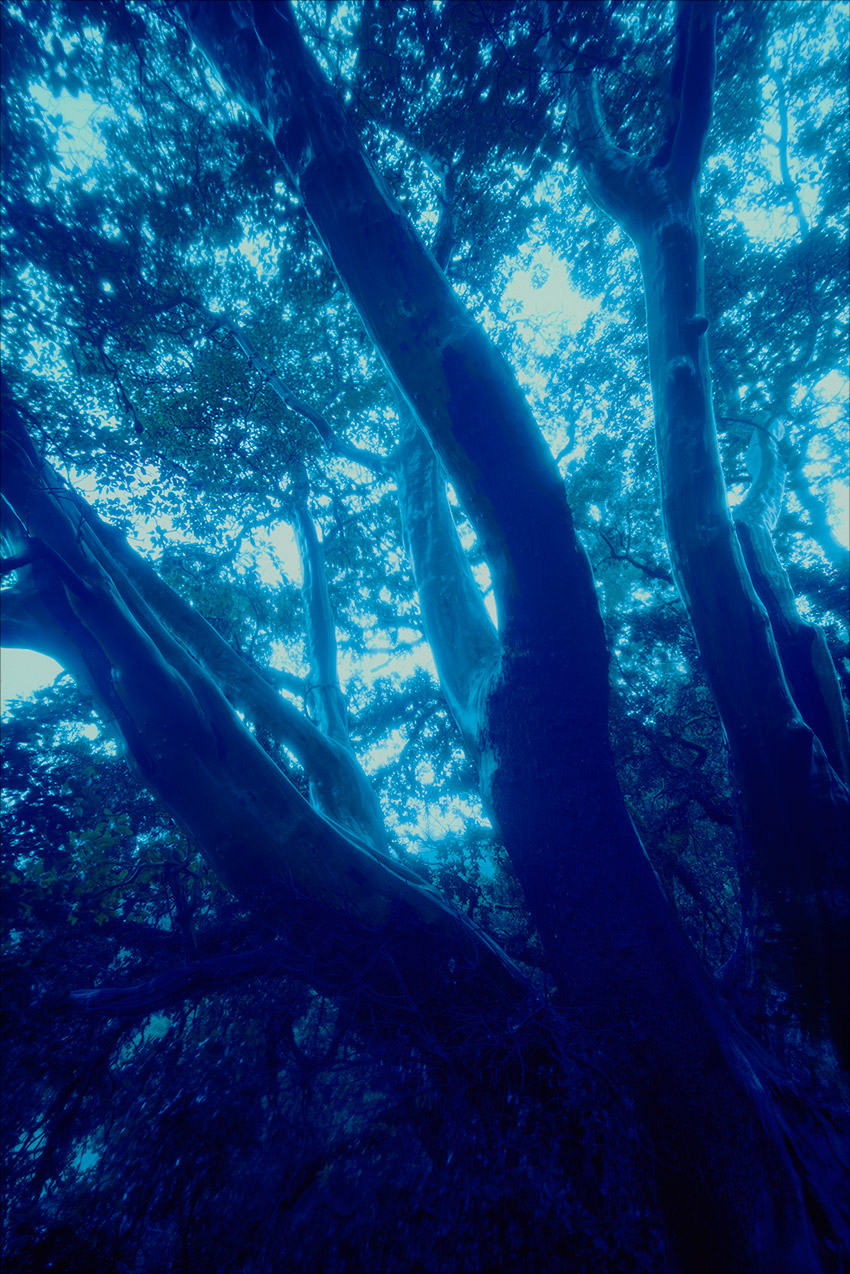 Untitled-(2)-(93).jpg