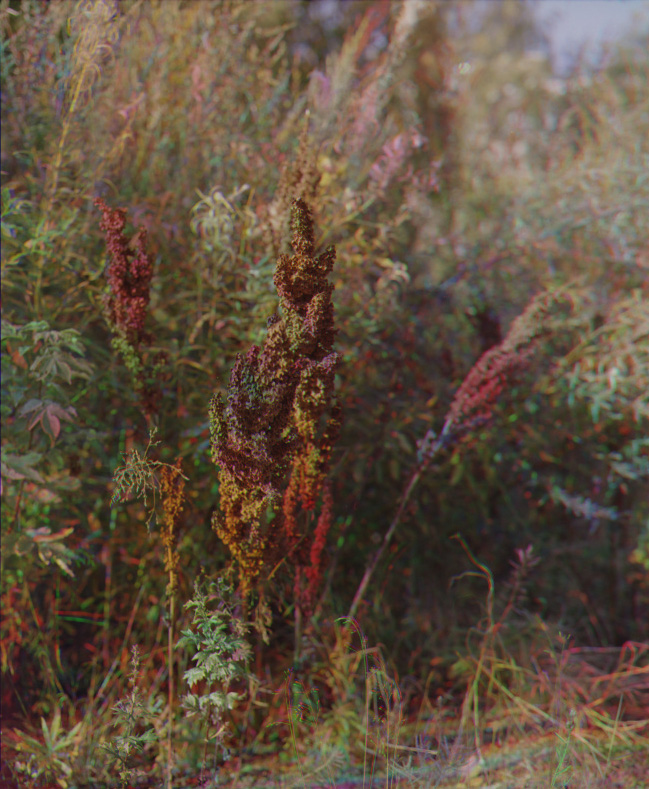 Untitled-4.jpg