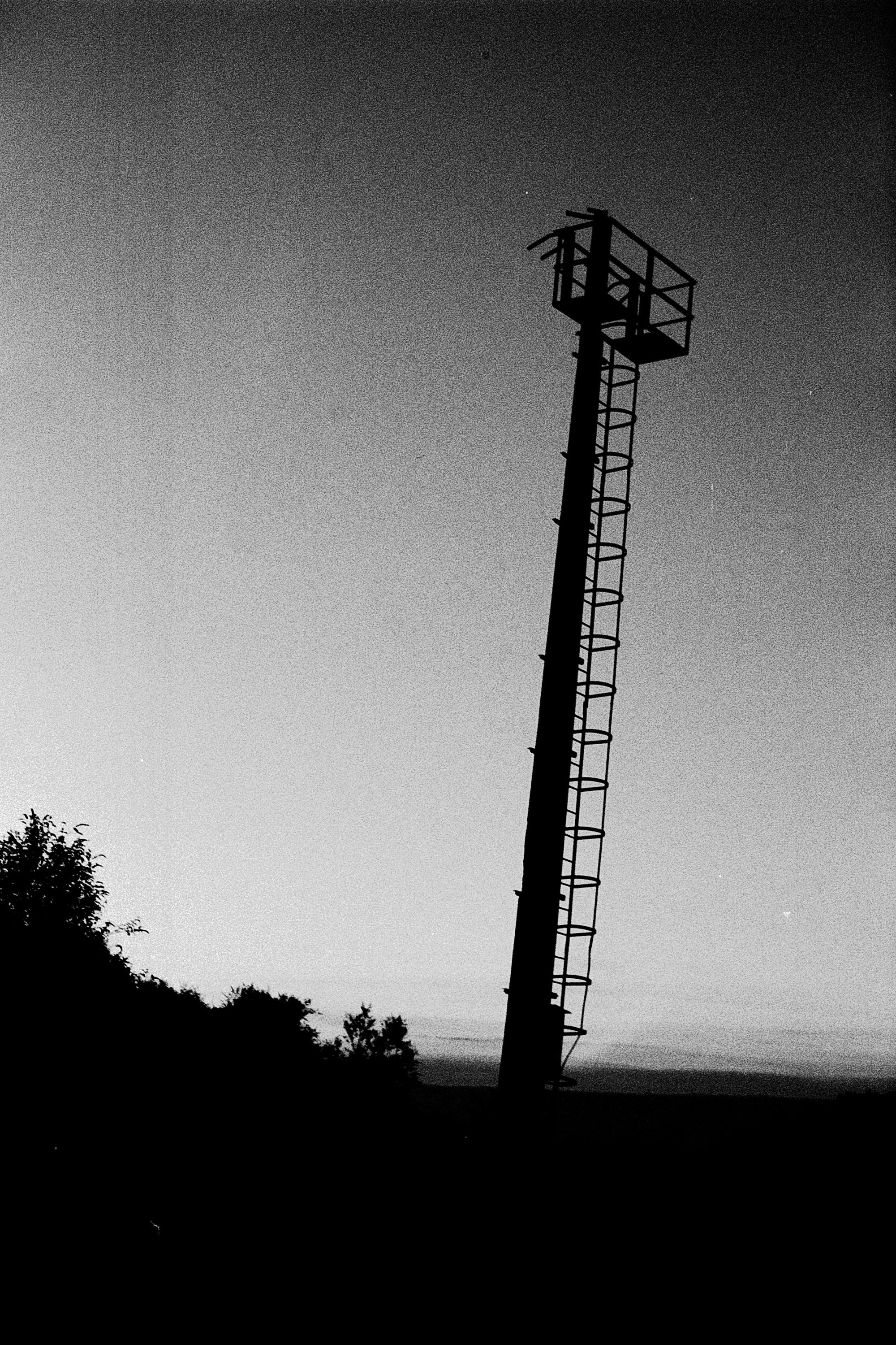 Untitled (49).jpg