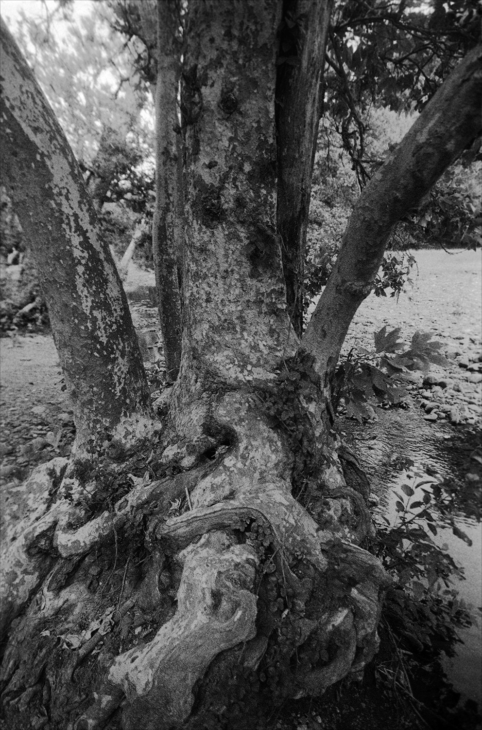 Untitled-(571).jpg