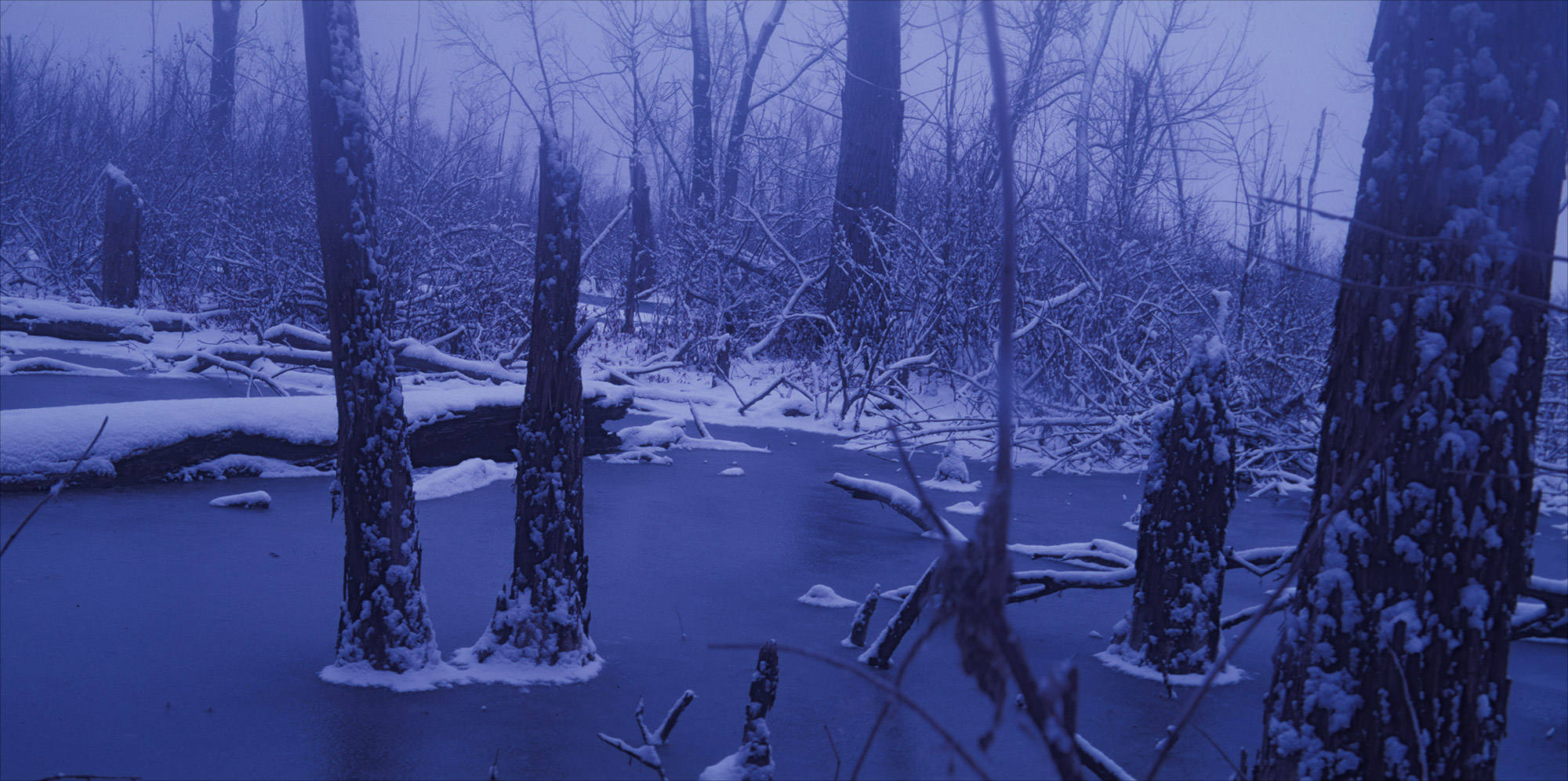 Untitled-(651).jpg