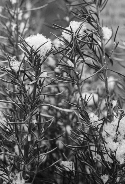 untitled (7 of 11).jpg