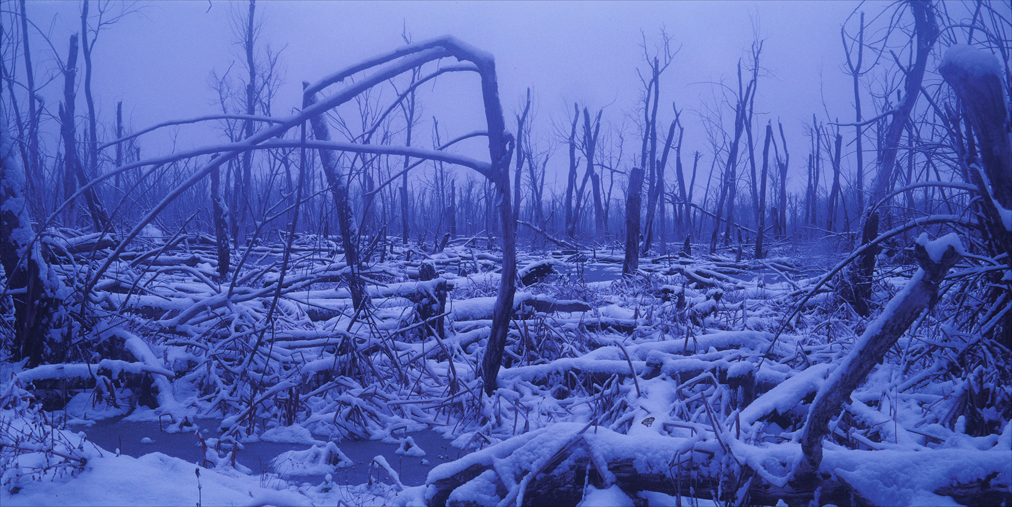 Untitled-(758).jpg