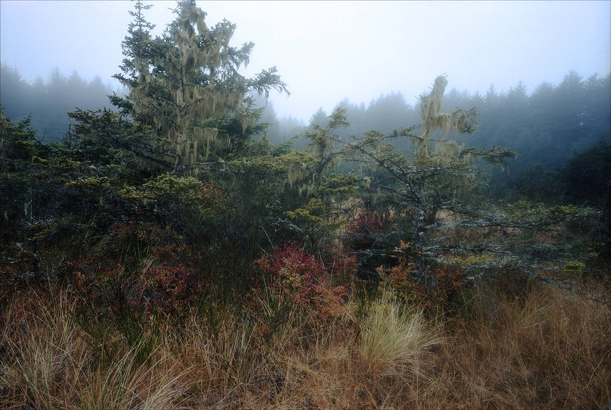 Untitled-8small.jpg
