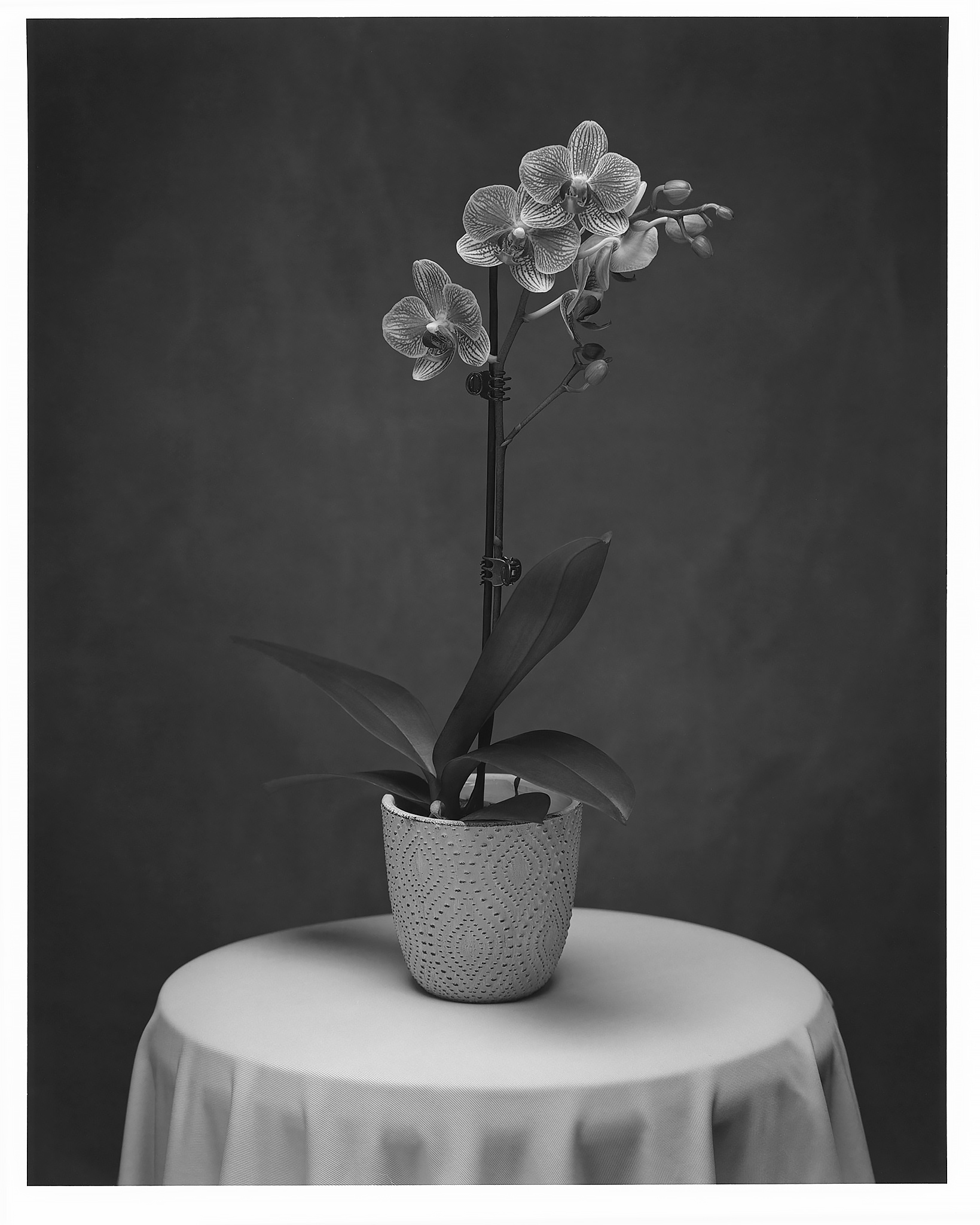 Untitled (98)-Recovered.jpg