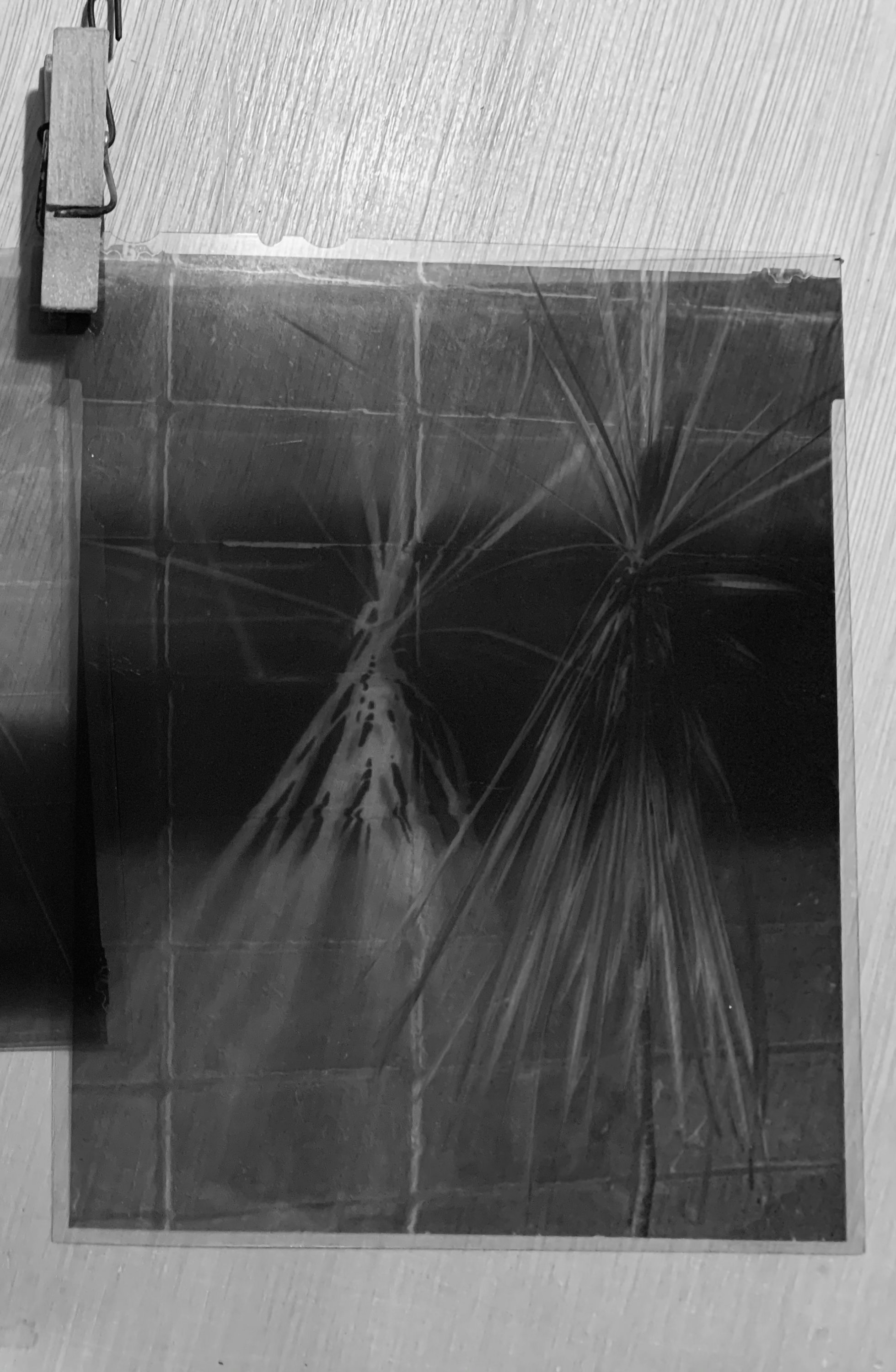 upload_2020-9-27_22-16-25.jpeg