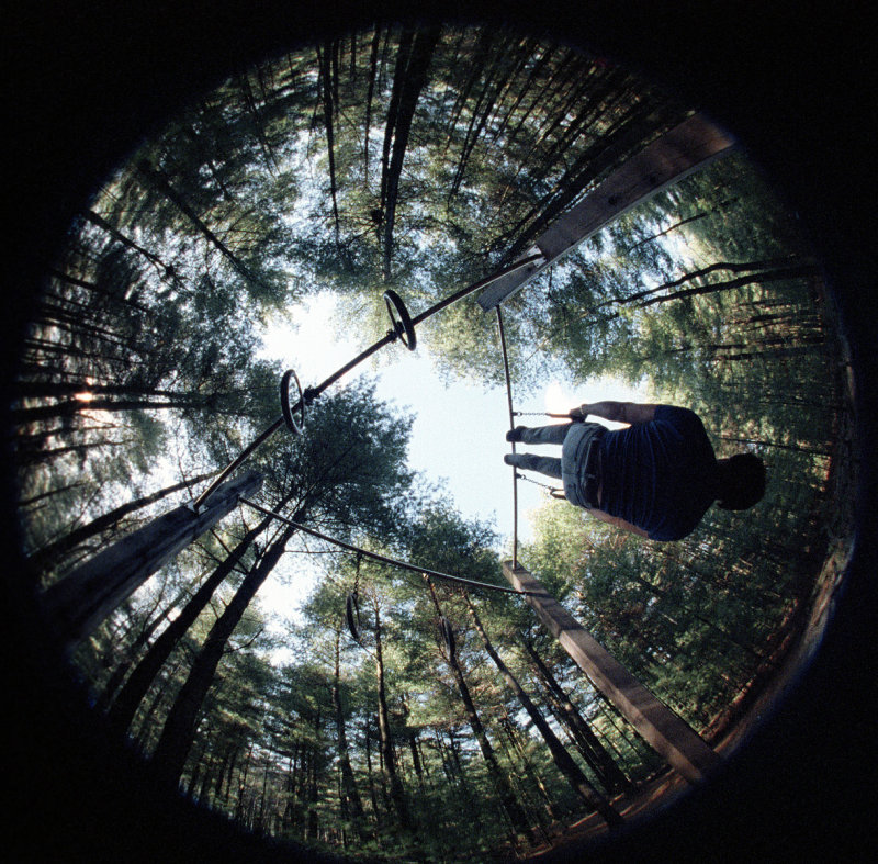 Upside down.jpg