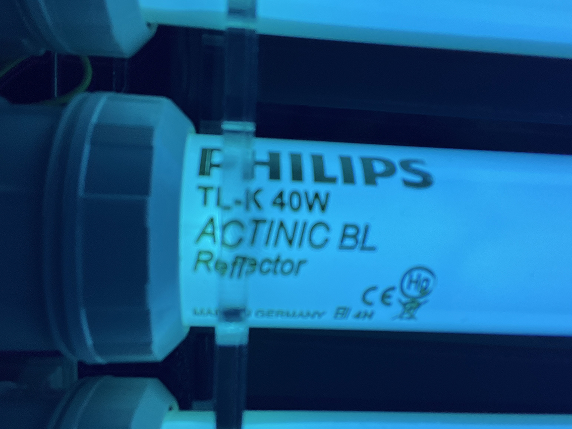 UV.jpg