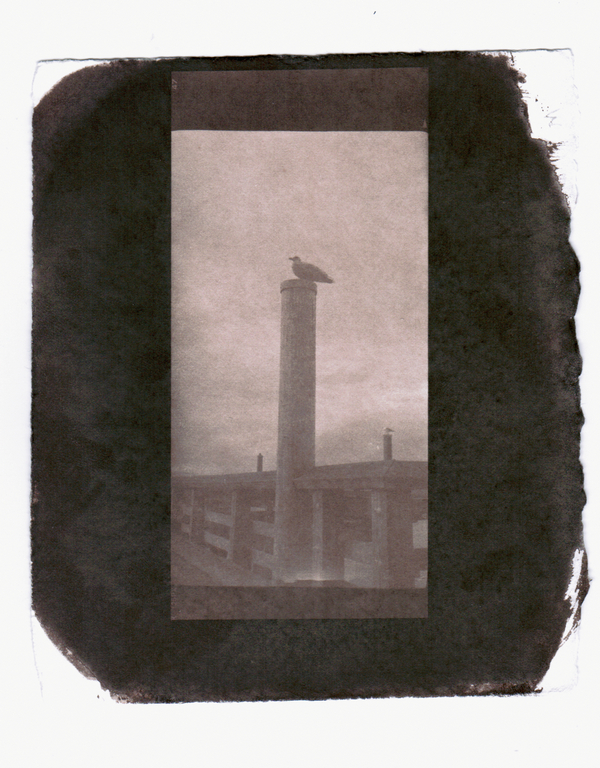 vandyke 1b-2012-05-11.jpg