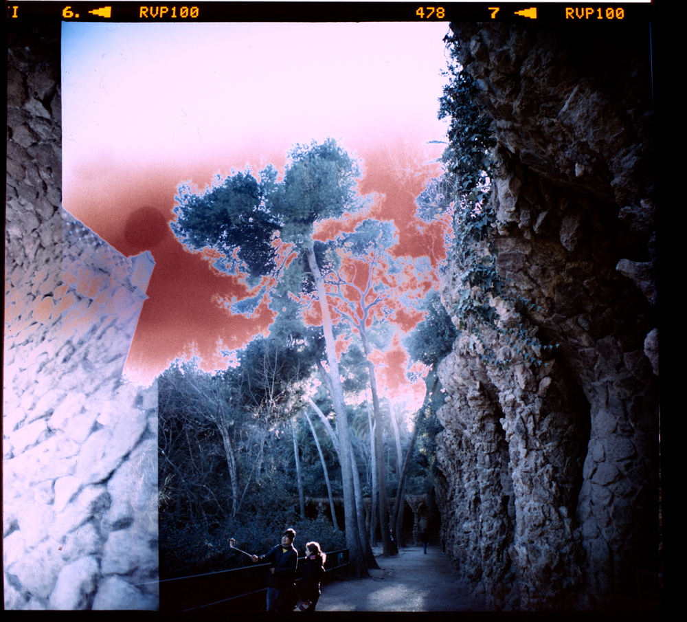 velvia3[1].jpg