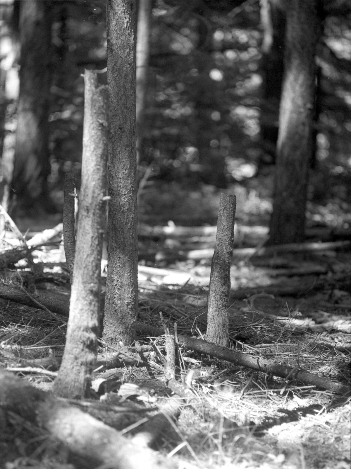 viento state park 20250625 frame10.jpeg