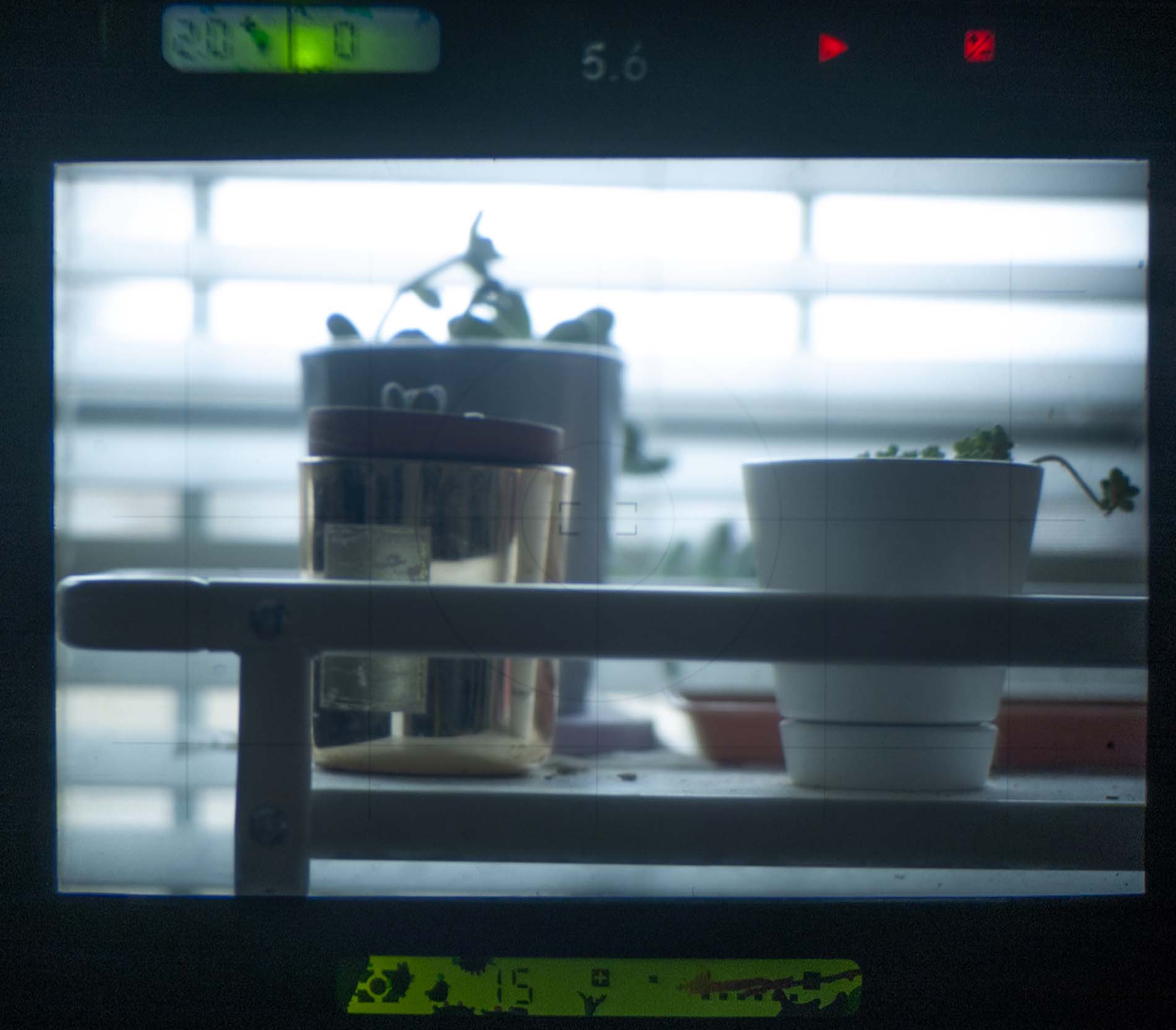 Viewfinder.jpg