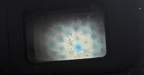 viewfindermobile.jpg
