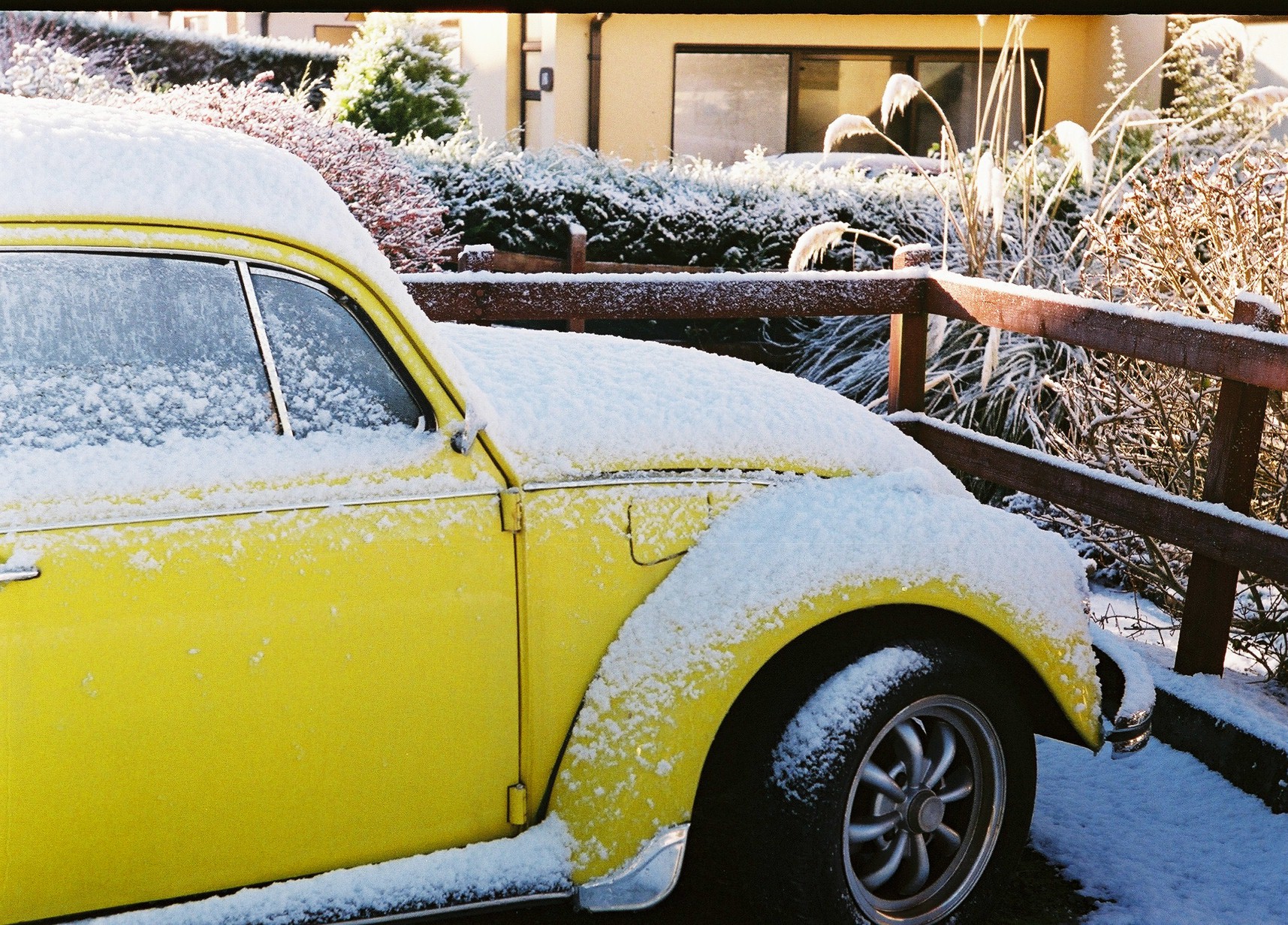 vw winter.jpg