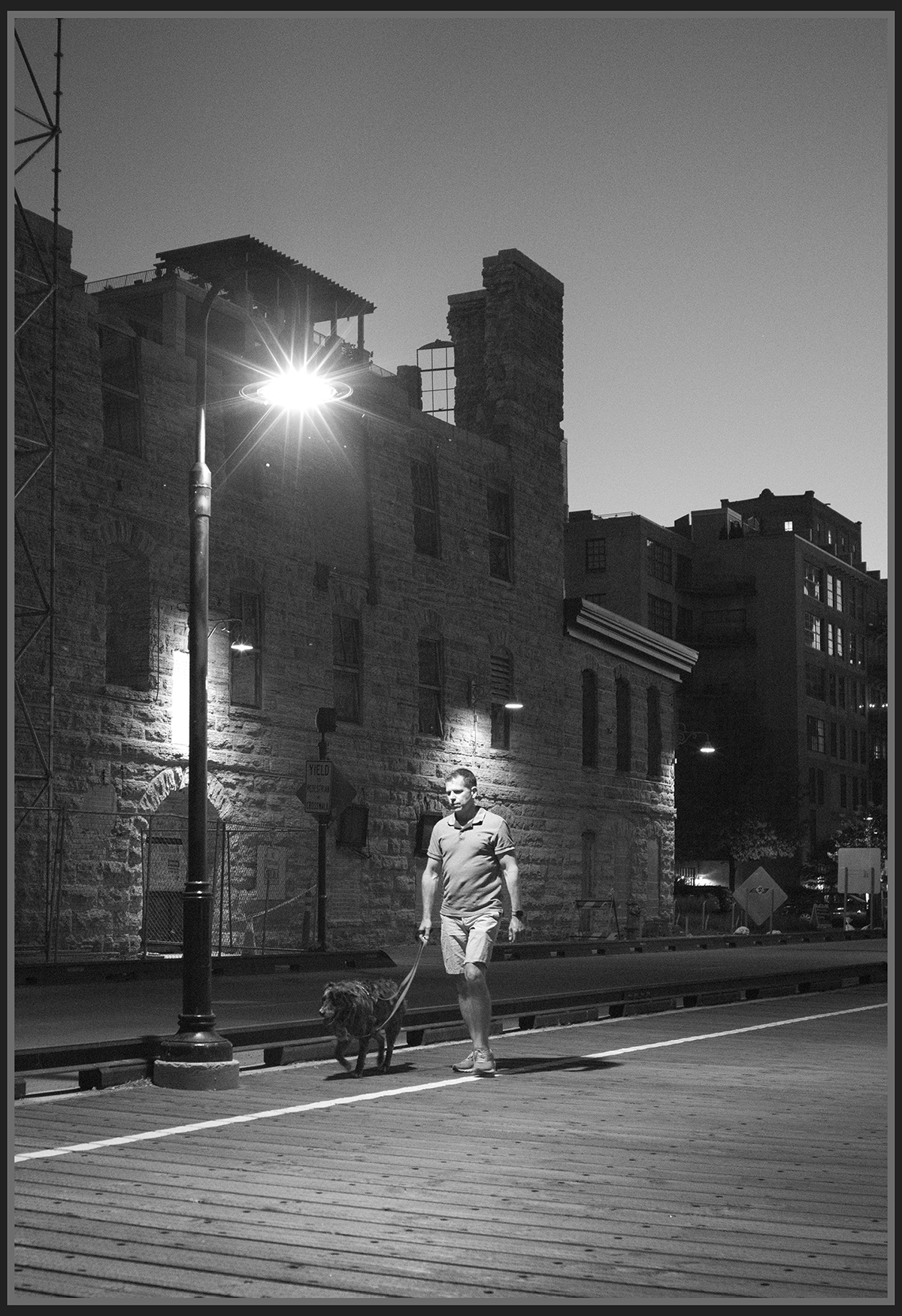 Walking Dog 20000ISO.jpg