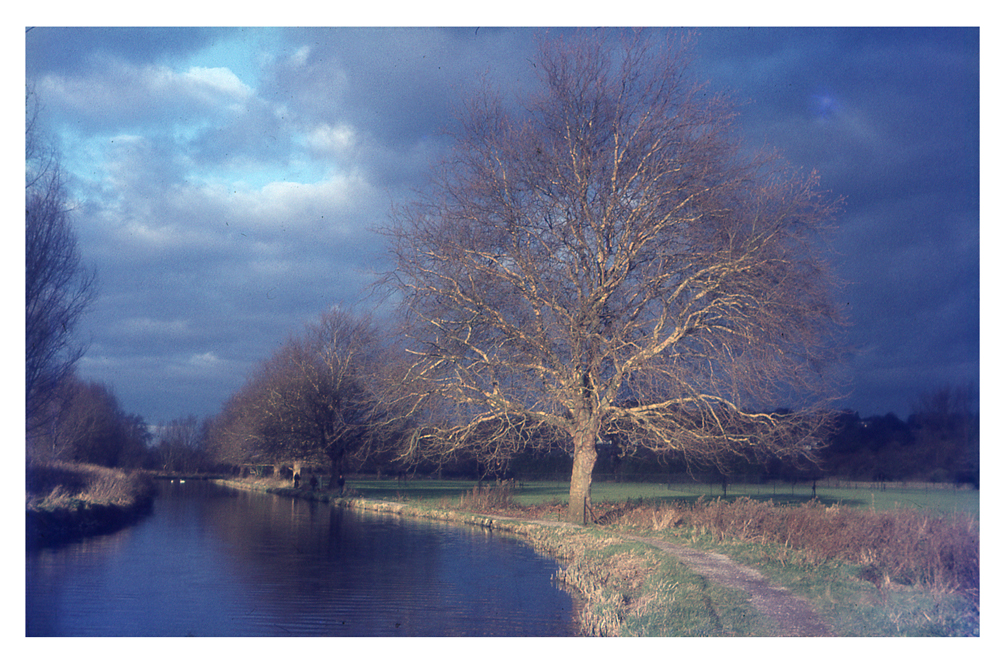 Water Meadows - Winchester - just before a storm.jpg