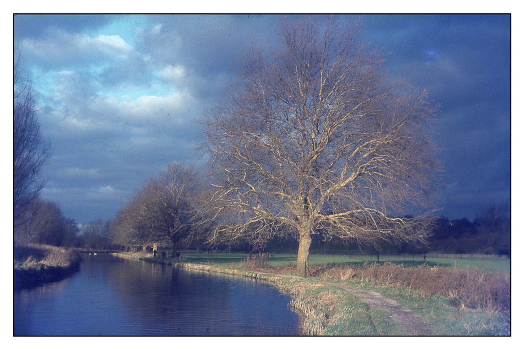 Water Meadows2 - postcard.jpg