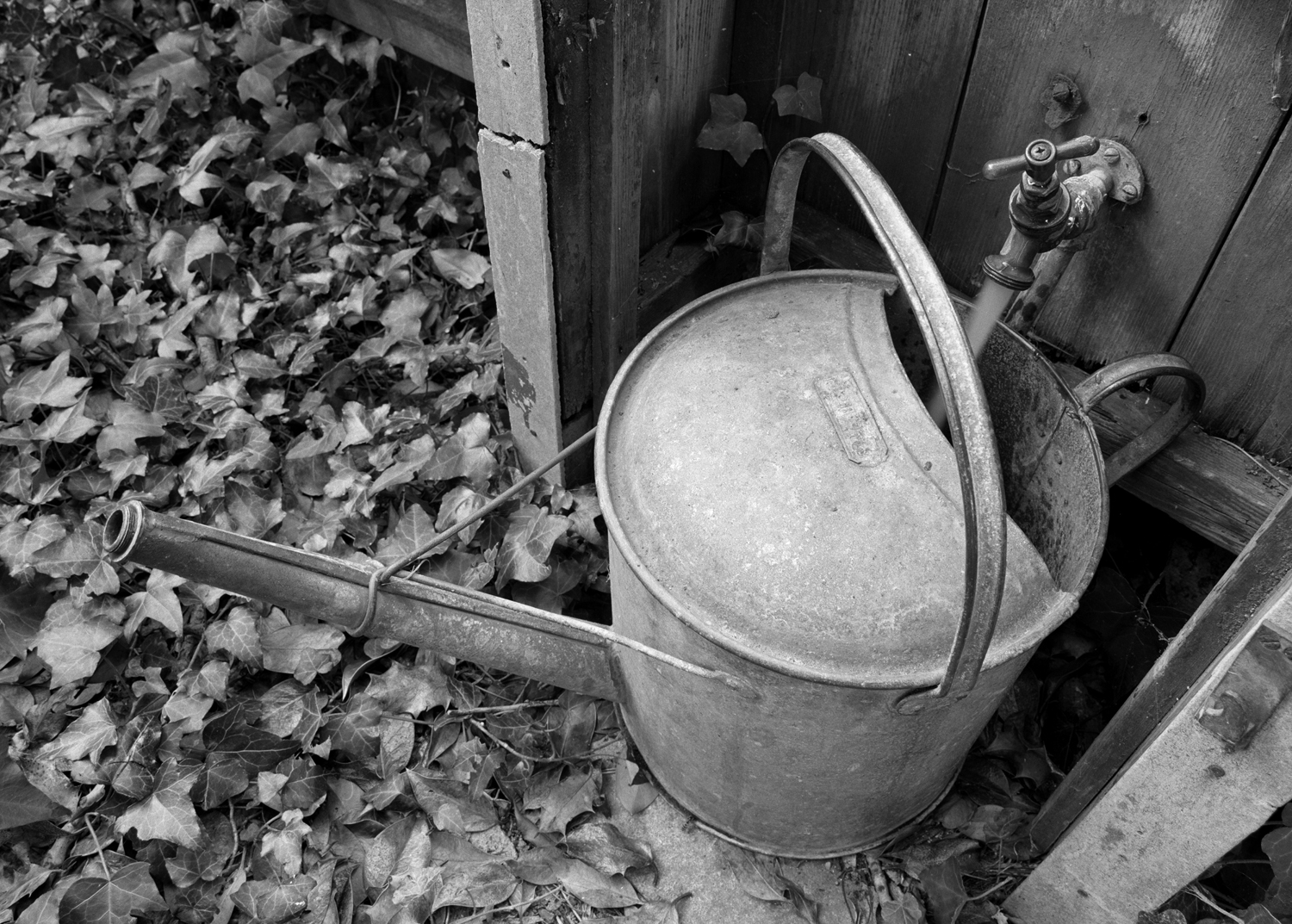 watering can_cr.jpg