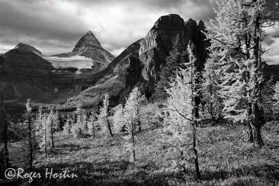 web_2009_09_26_mount_assini.jpg