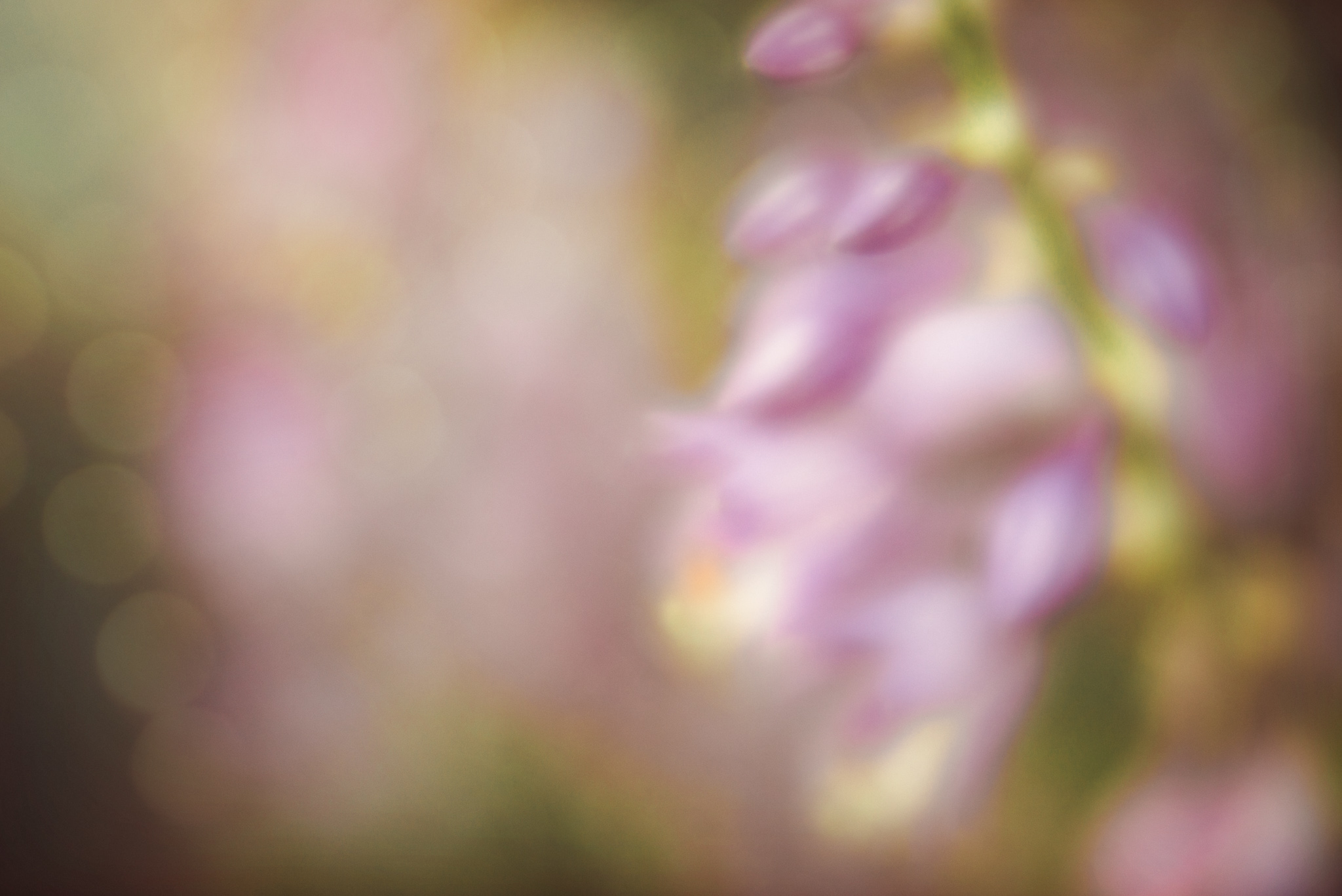 Web_July_02_2019_001.jpg
