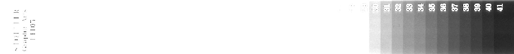 wedge8_205_dark_side.JPG