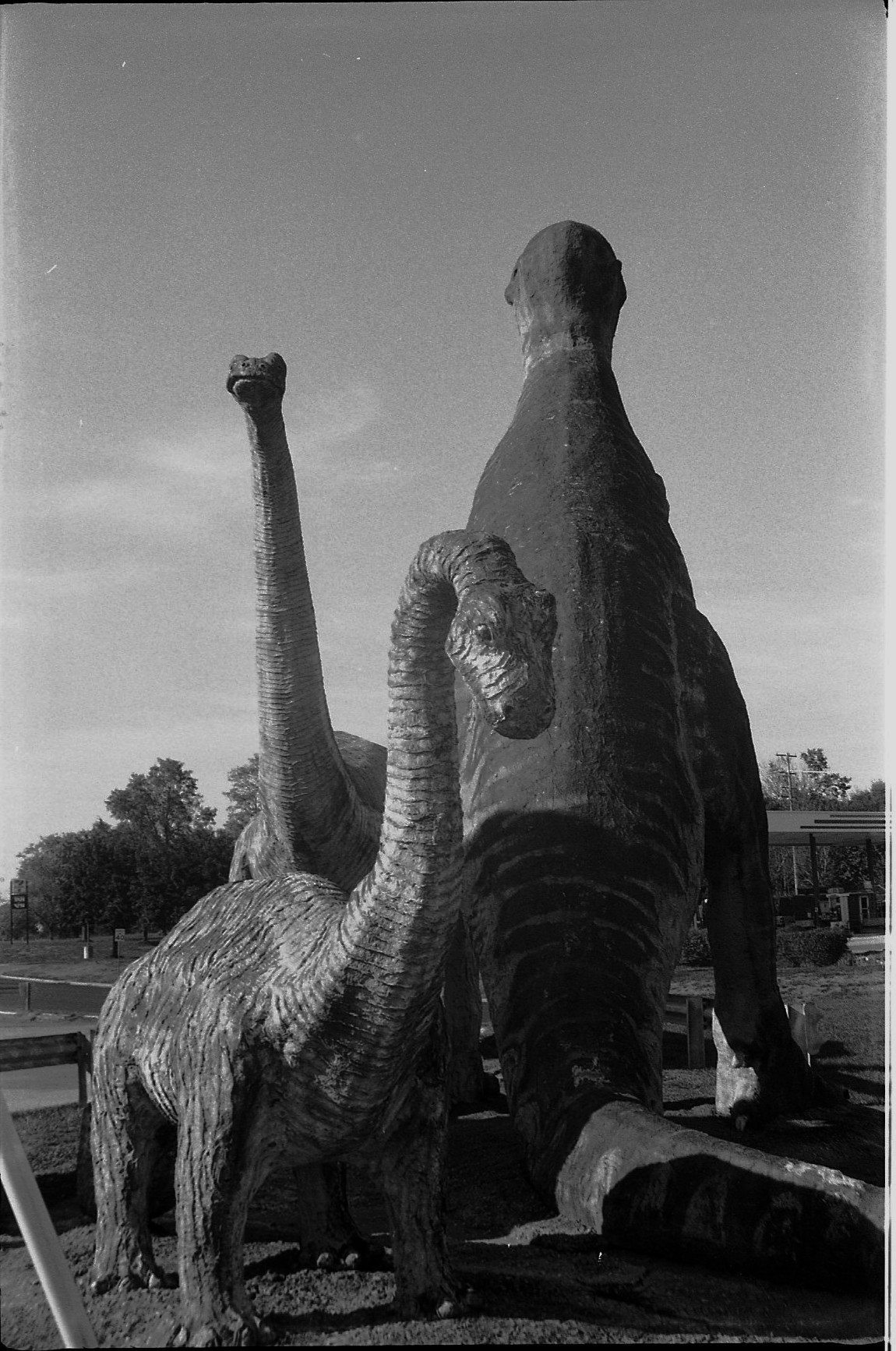 Welti Weltini Arista edu 100 D76 1to1 7min 15 sec 013A.jpg