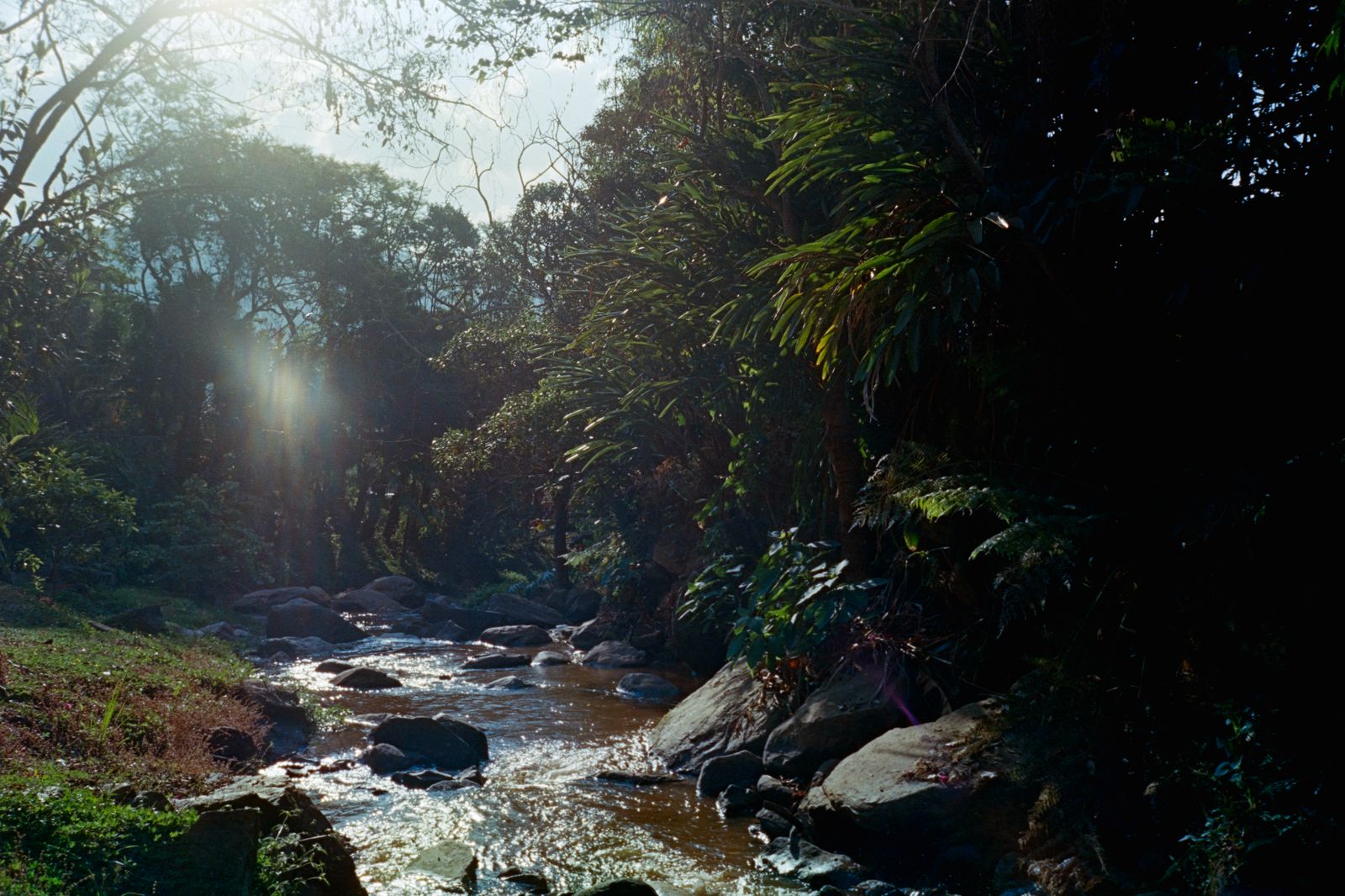 WhatsApp Image 2025-04-02 at 12.43.09 (1).jpeg