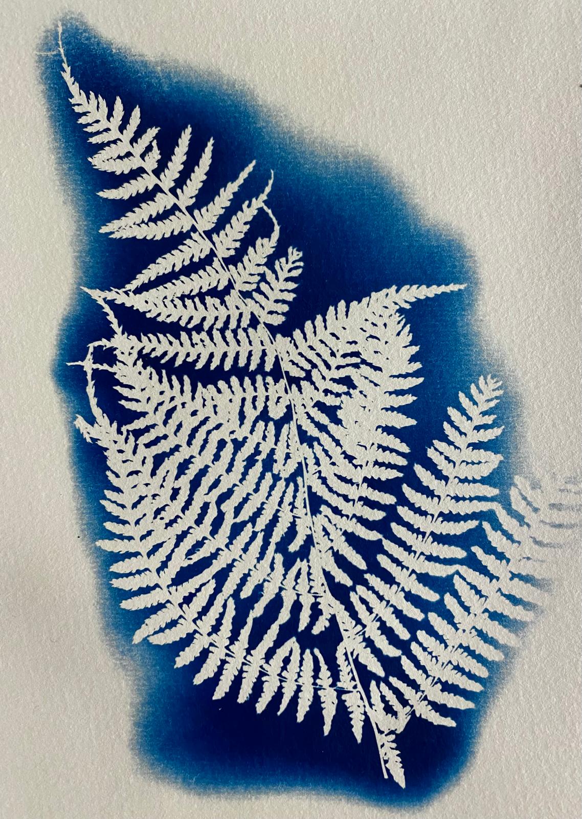 WhatsApp Image 2025-11-24 at 22.05.11.jpeg