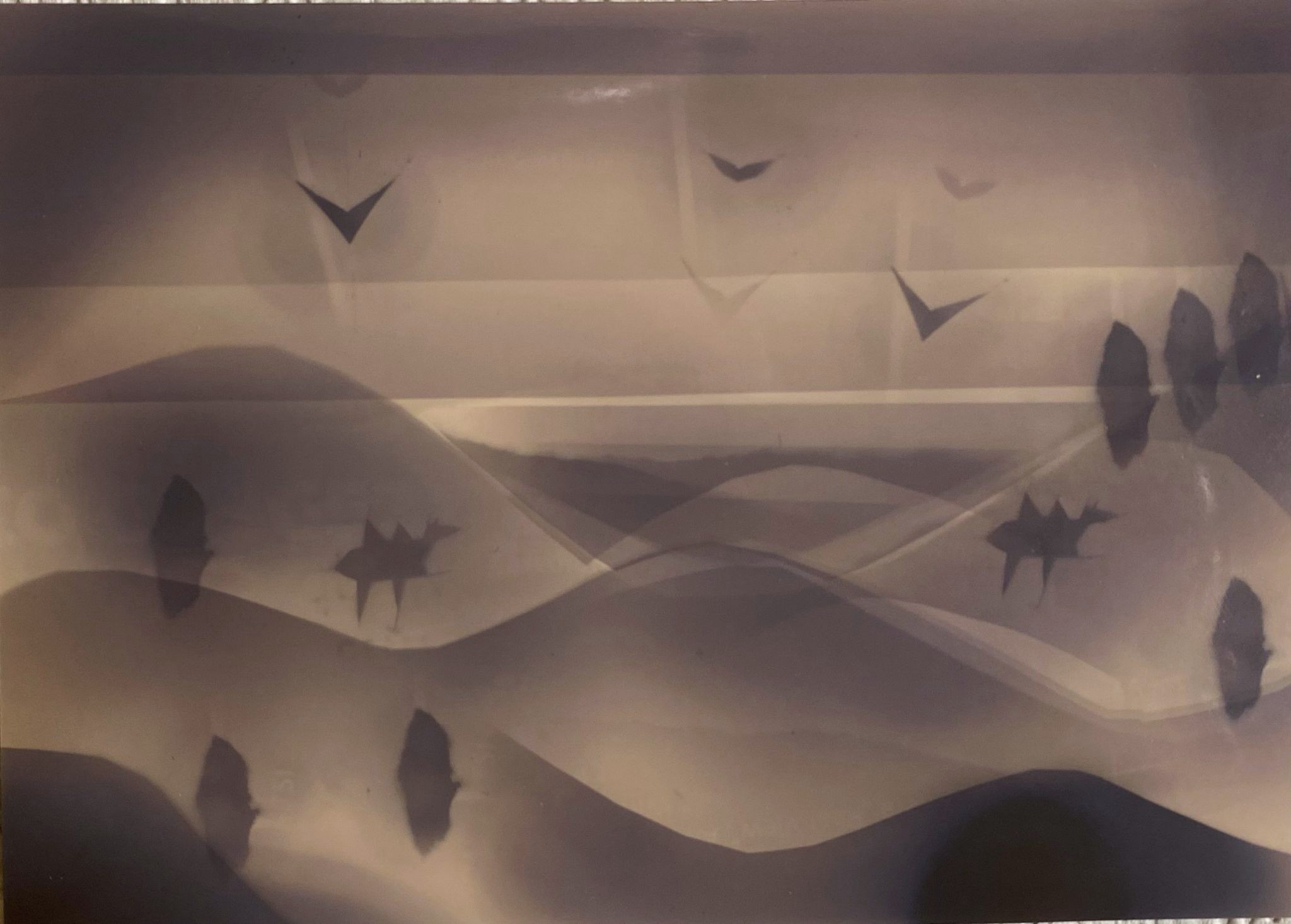 WhatsApp Image 2025-12-15 at 20.44.15.jpeg