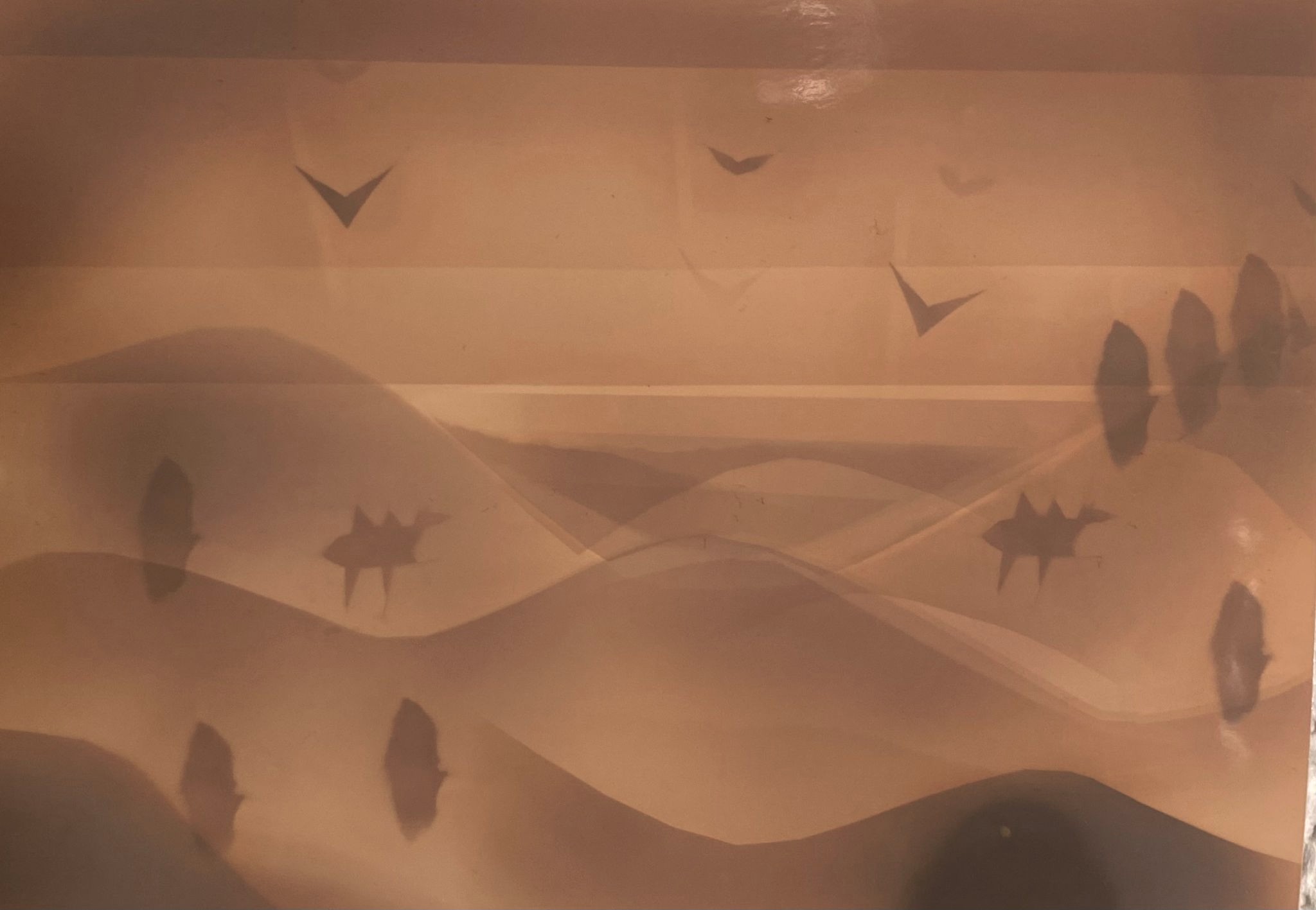 WhatsApp Image 2025-12-15 at 21.10.17.jpeg