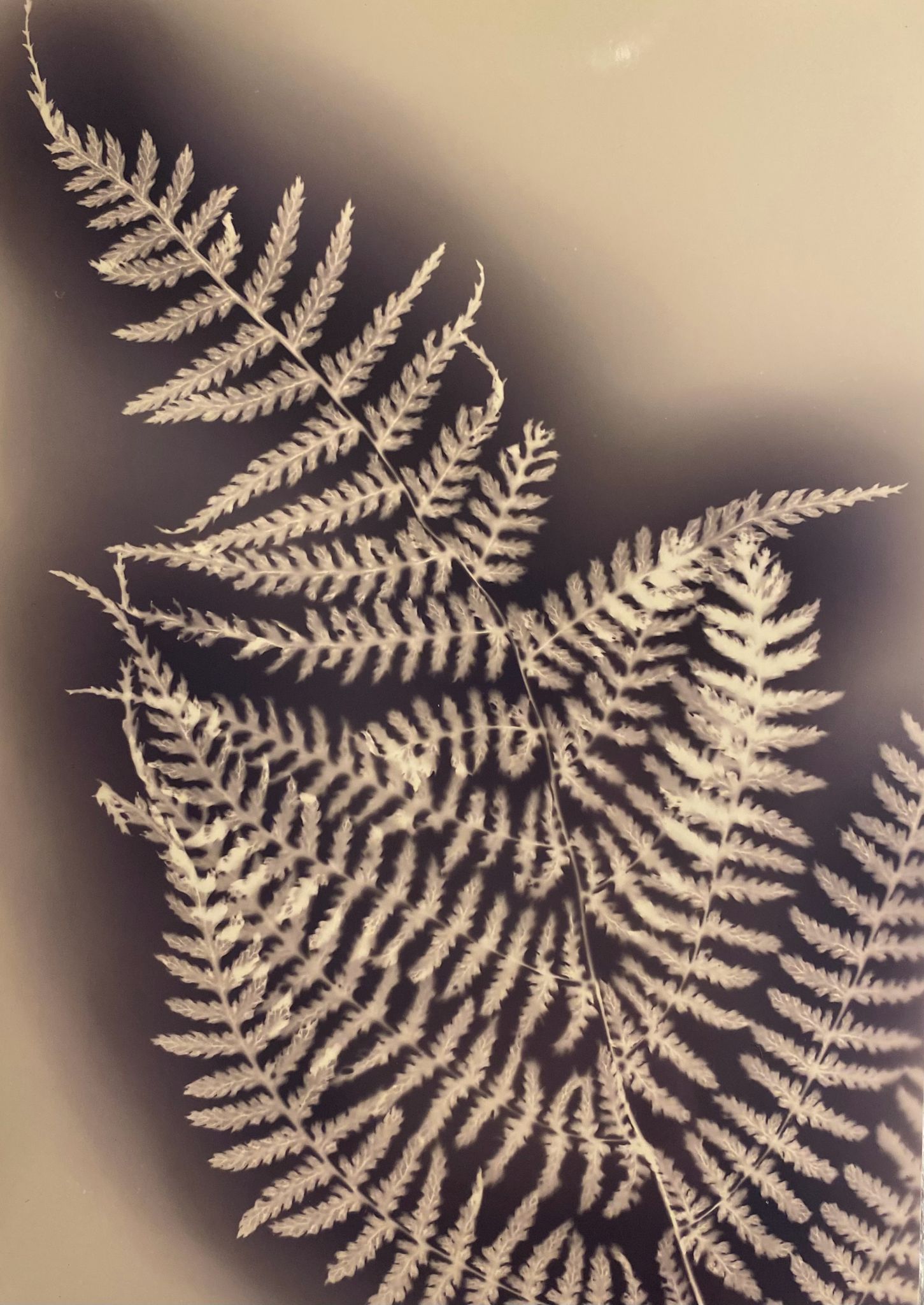 WhatsApp Image 2025-12-15 at 21.42.20.jpeg