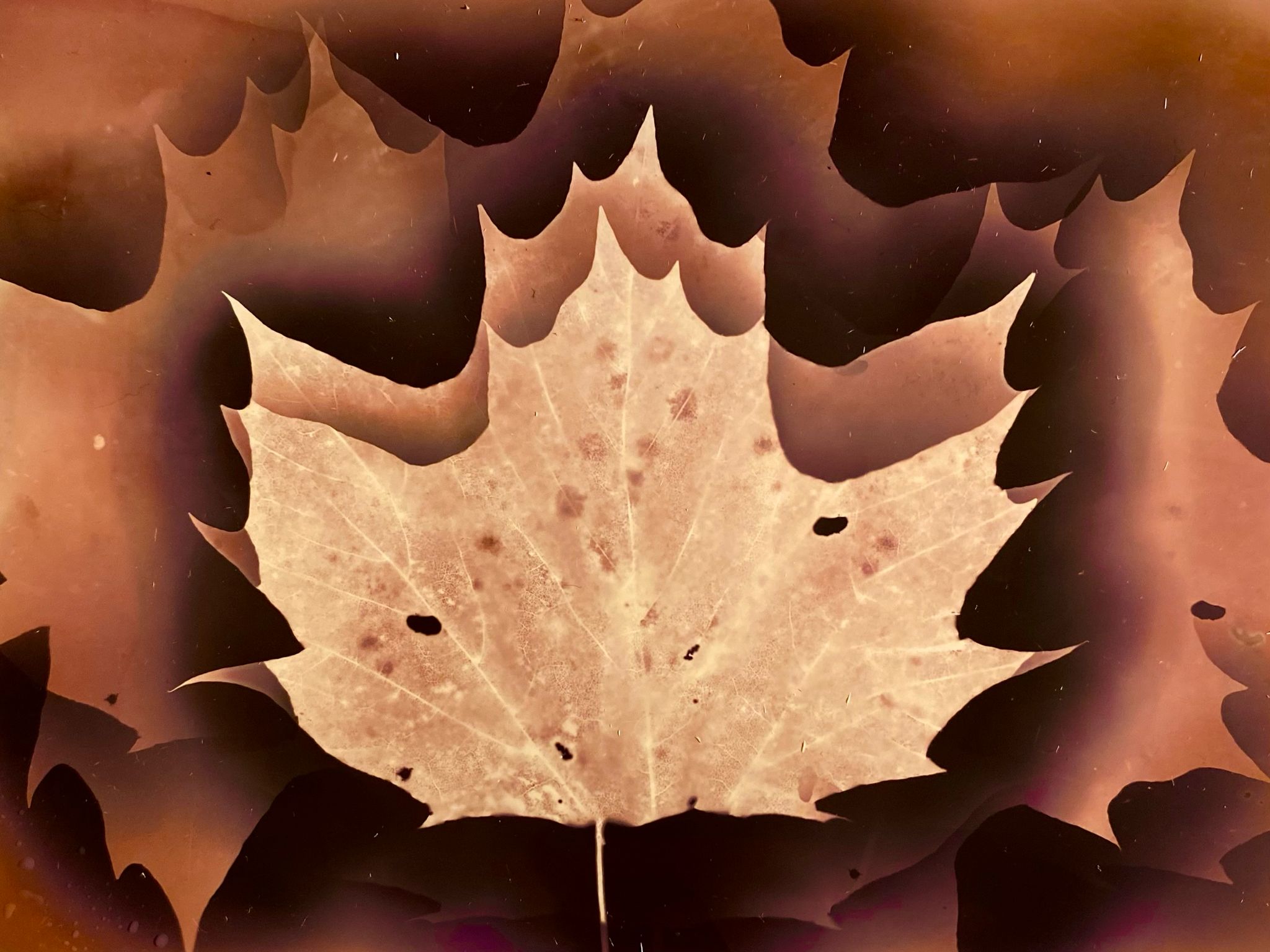 WhatsApp Image 2025-12-17 at 21.38.09.jpeg