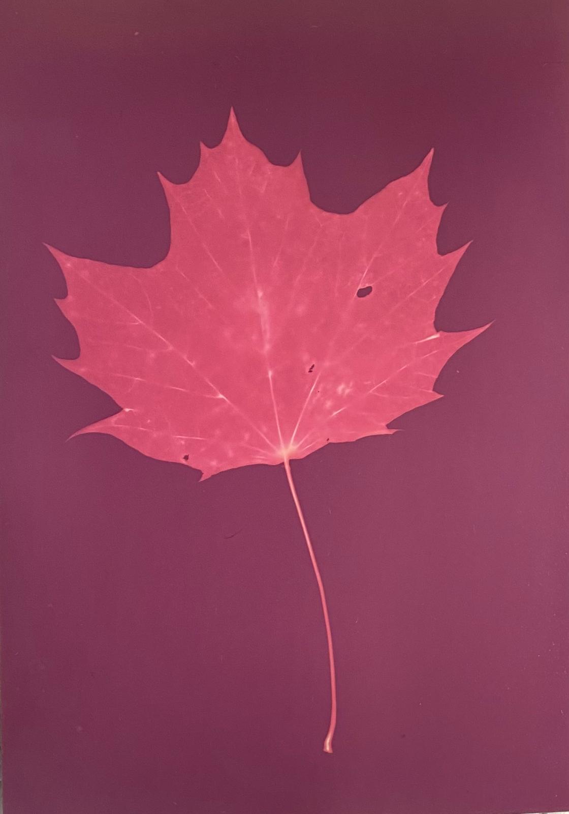 WhatsApp Image 2025-12-21 at 11.42.26(1).jpeg