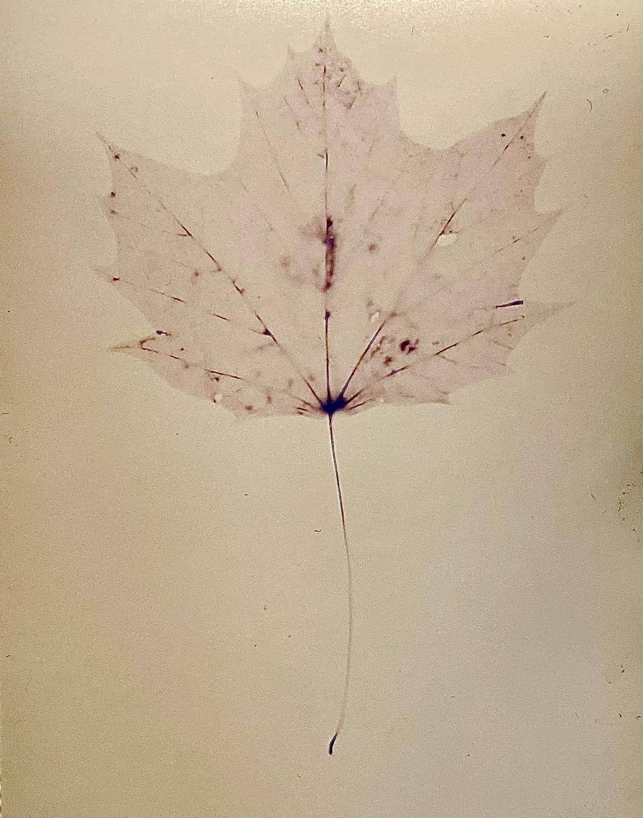 WhatsApp Image 2025-12-21 at 11.42.26.jpeg