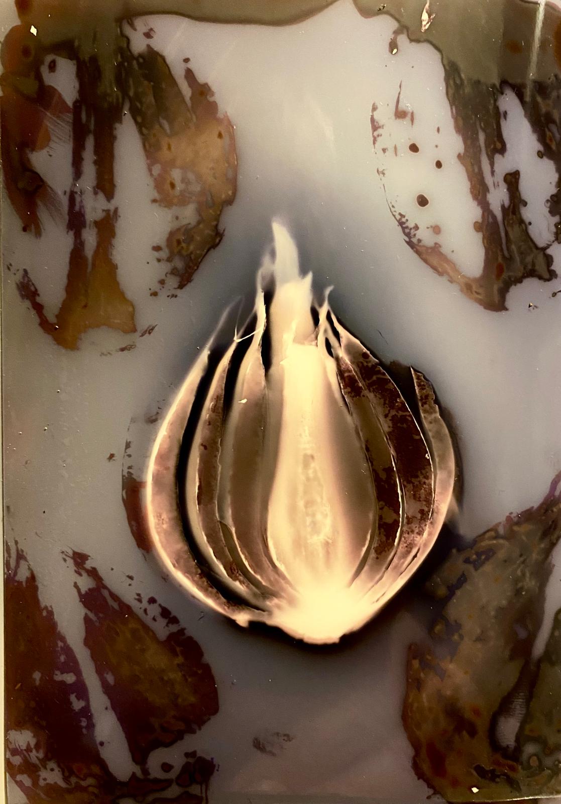 WhatsApp Image 2026-01-06 at 20.35.50.jpeg