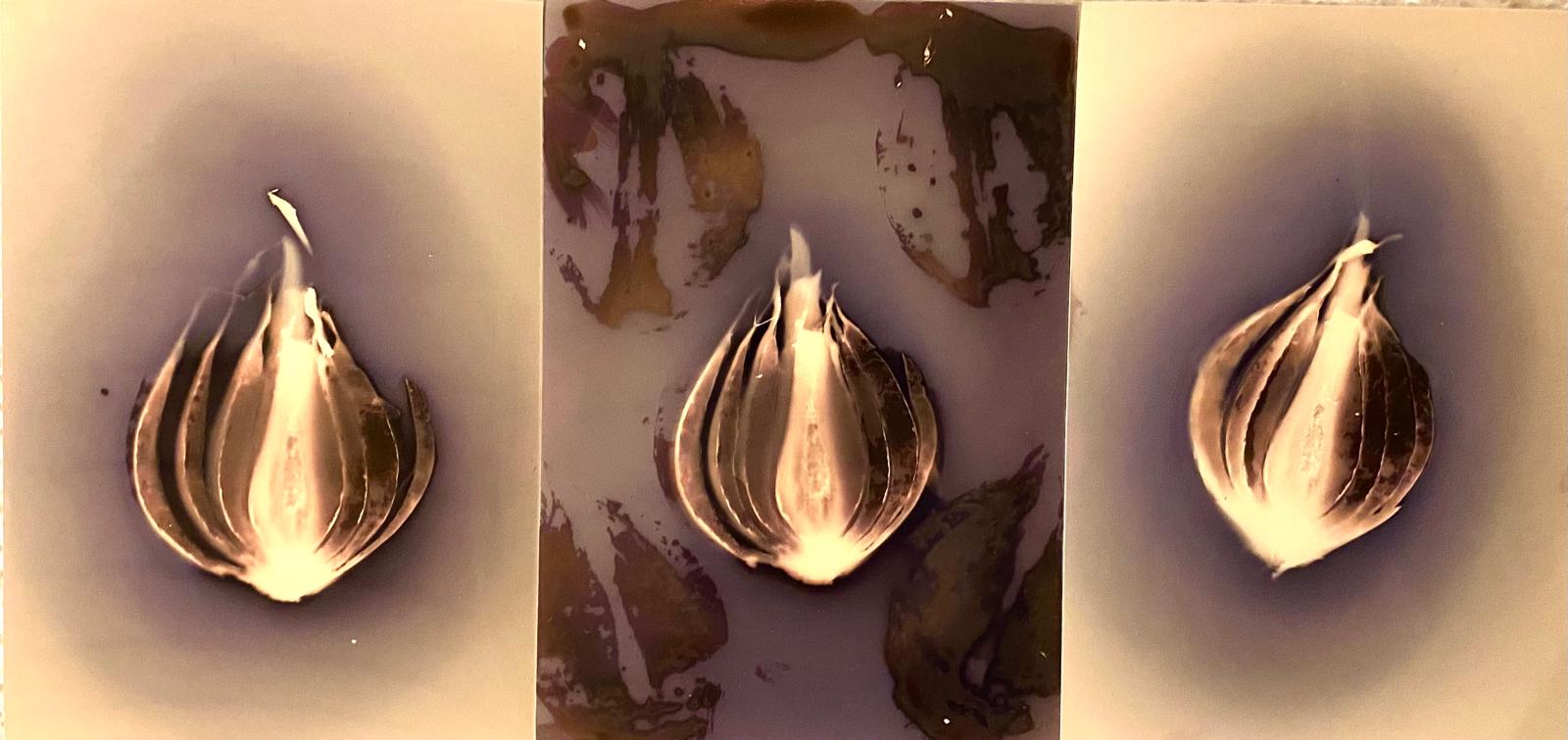 WhatsApp Image 2026-01-06 at 20.51.00.jpeg