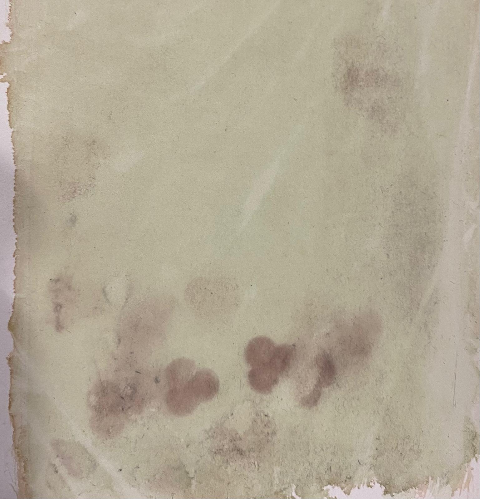 WhatsApp Image 2026-01-12 at 22.40.21.jpeg