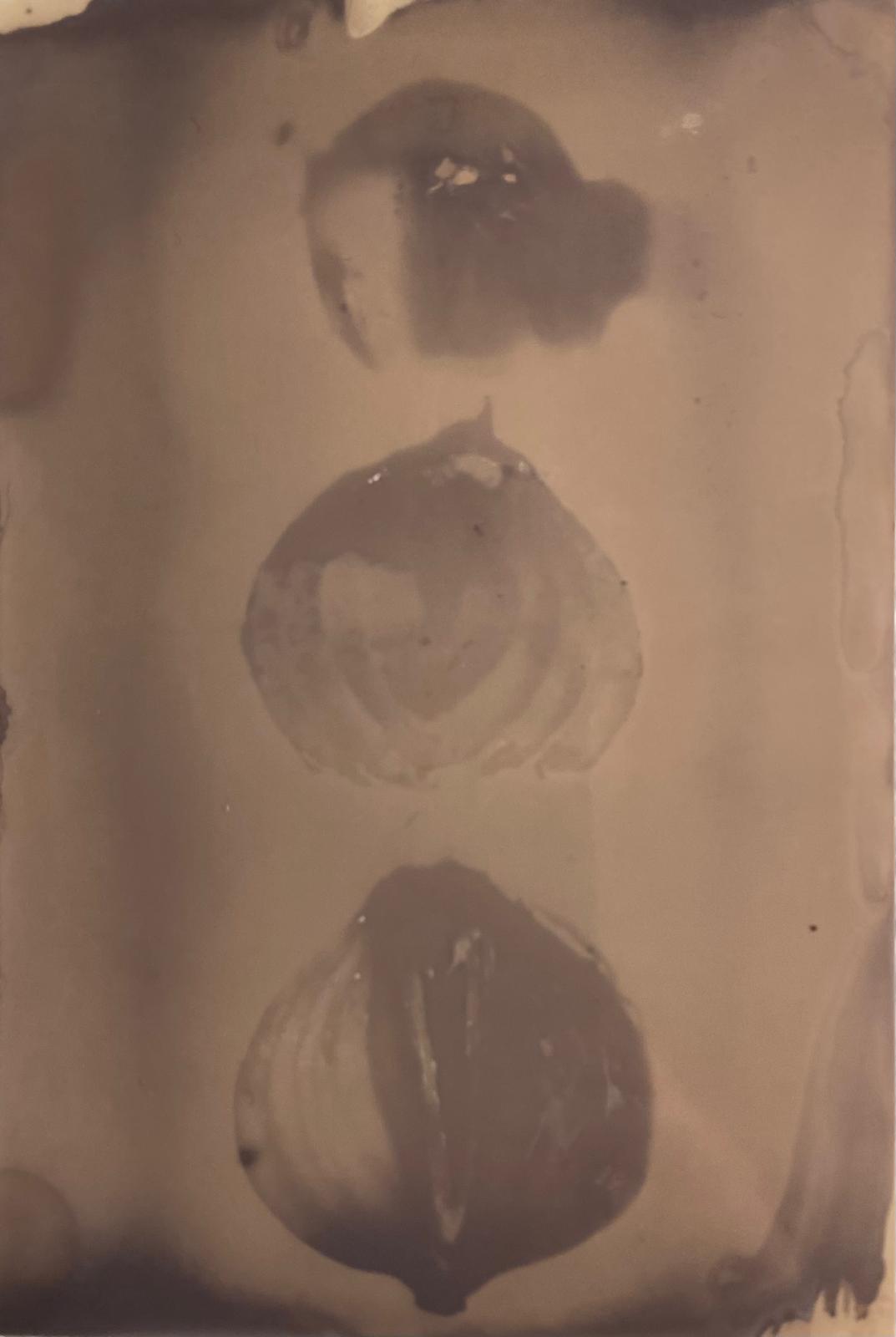 WhatsApp Image 2026-01-19 at 21.55.03.jpeg