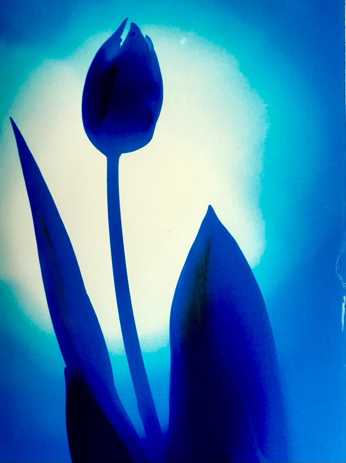 WhatsApp Image 2026-03-20 at 21.26.39.jpeg