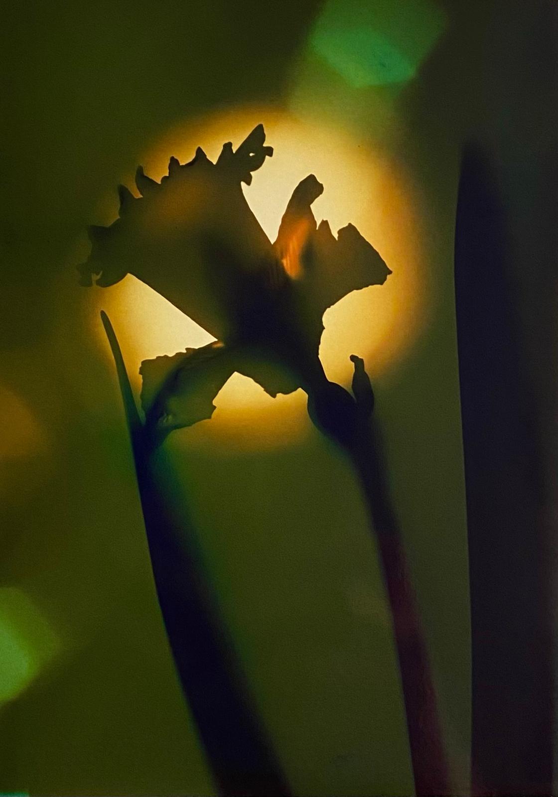 WhatsApp Image 2026-03-21 at 21.19.05.jpeg