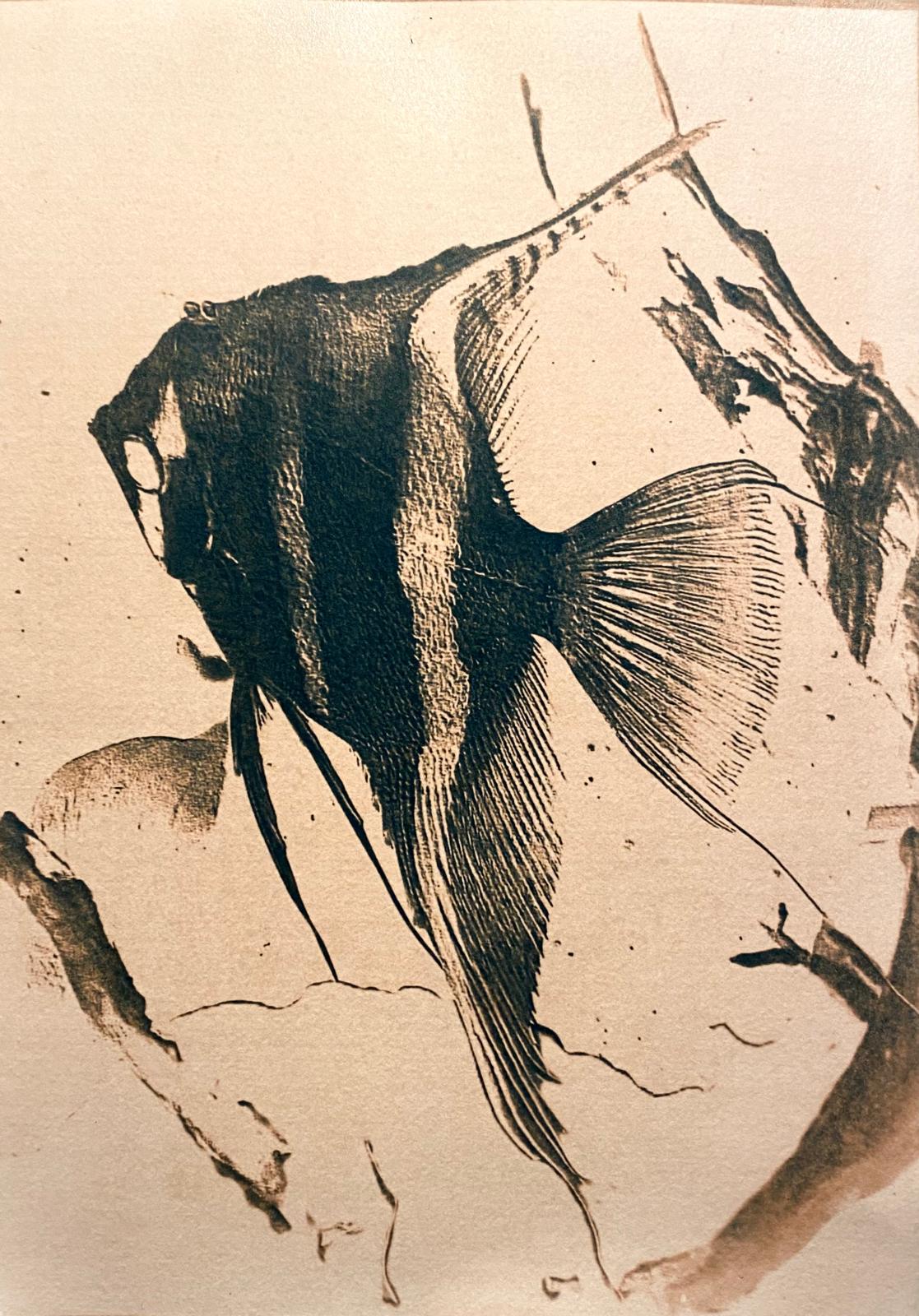 WhatsApp Image 2026-04-12 at 18.50.37.jpeg