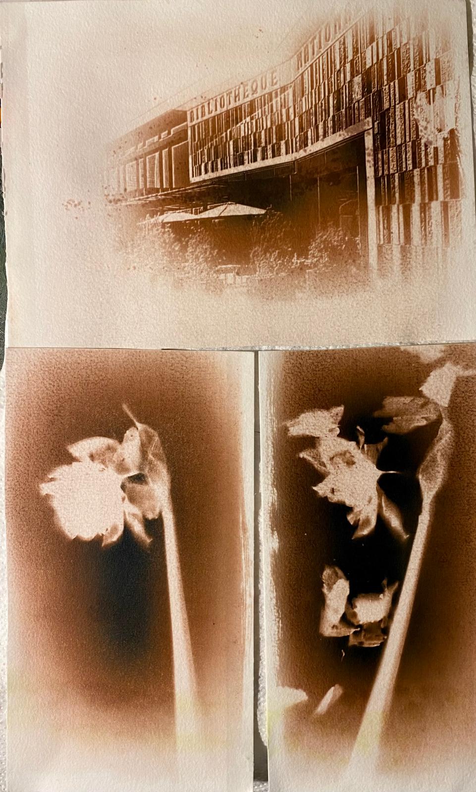 WhatsApp Image 2026-04-23 at 23.11.41.jpeg