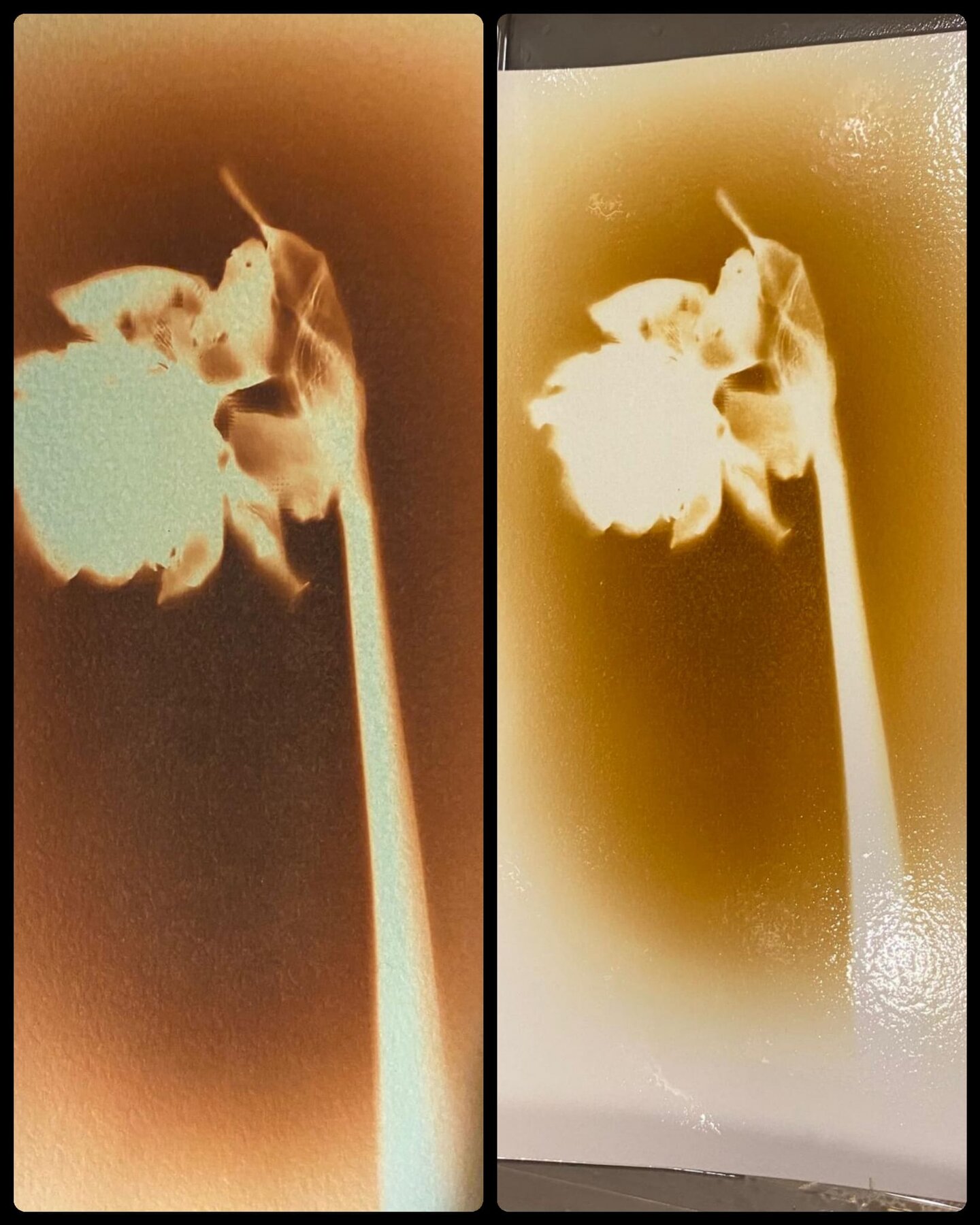 WhatsApp Image 2026-04-24 at 12.15.38.jpeg