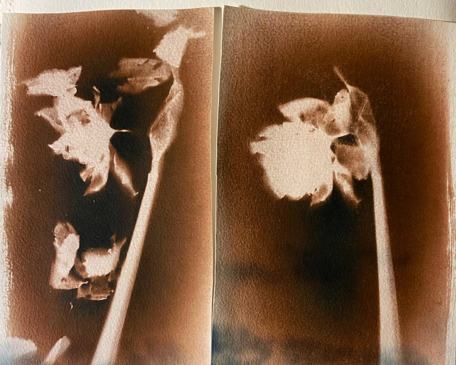 WhatsApp Image 2026-04-28 at 19.56.39.jpeg