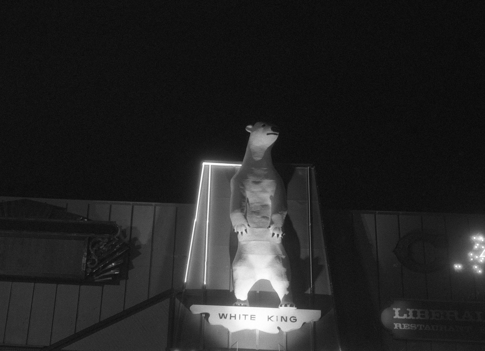 White-King.jpg