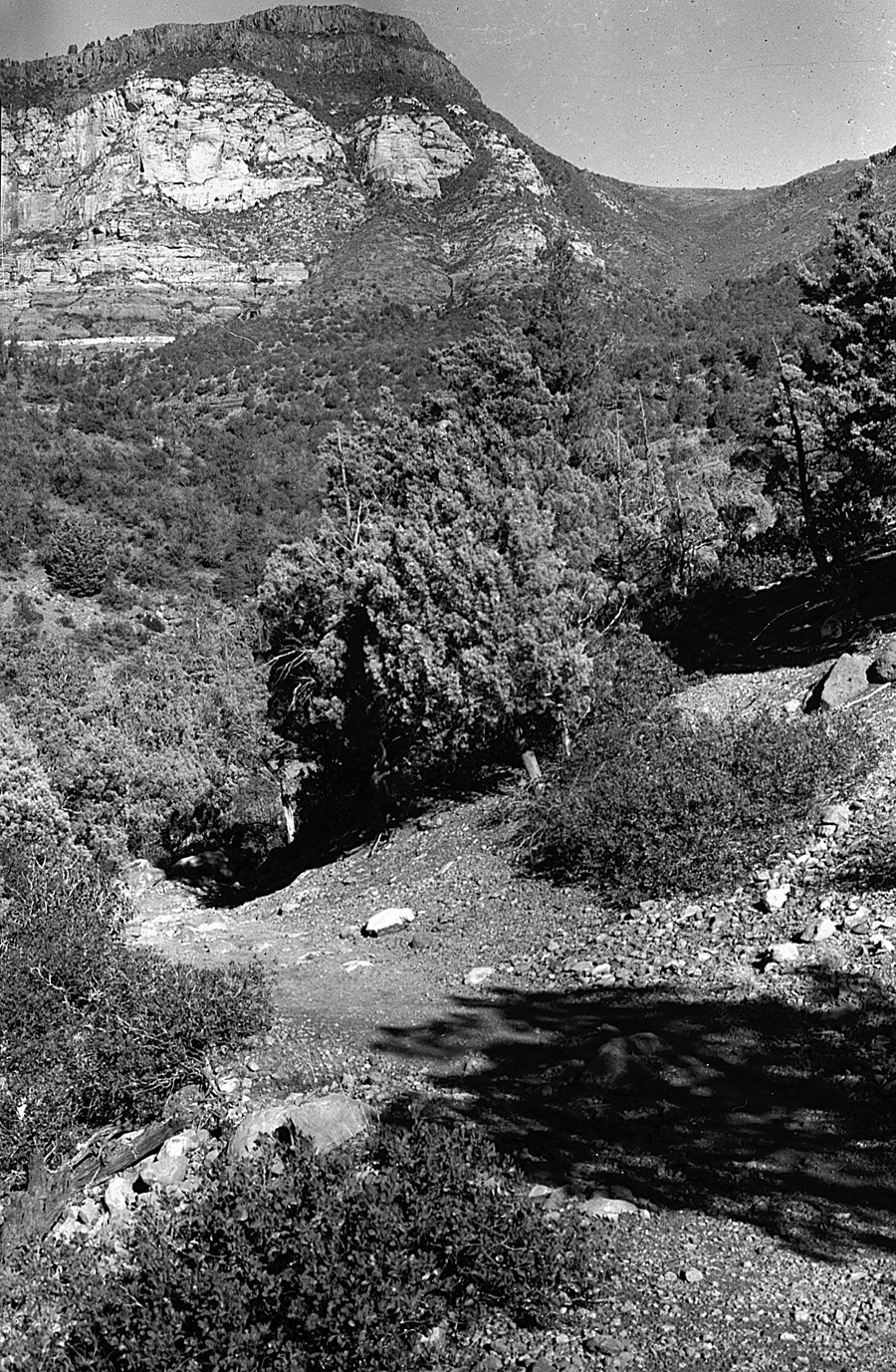 - WilsonMntBench .jpg