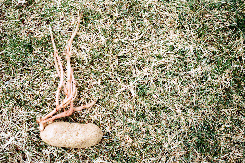 wmfc021.jpg